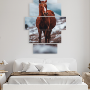 CABALLOS - 01