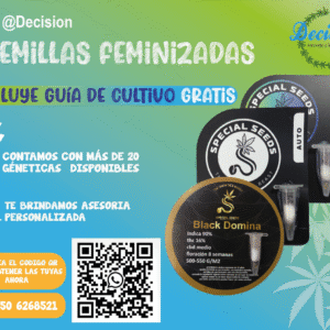 Kit de Semillas