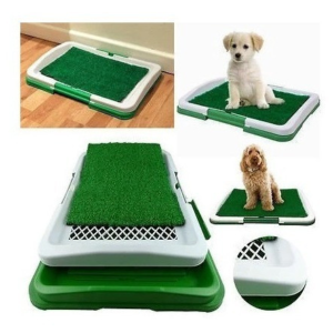 Tapete Entrenamiento Perros Puppy Potty