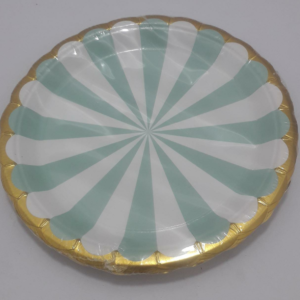 PLATO BLANCO Y VERDE OSCURO BORDE  DORA