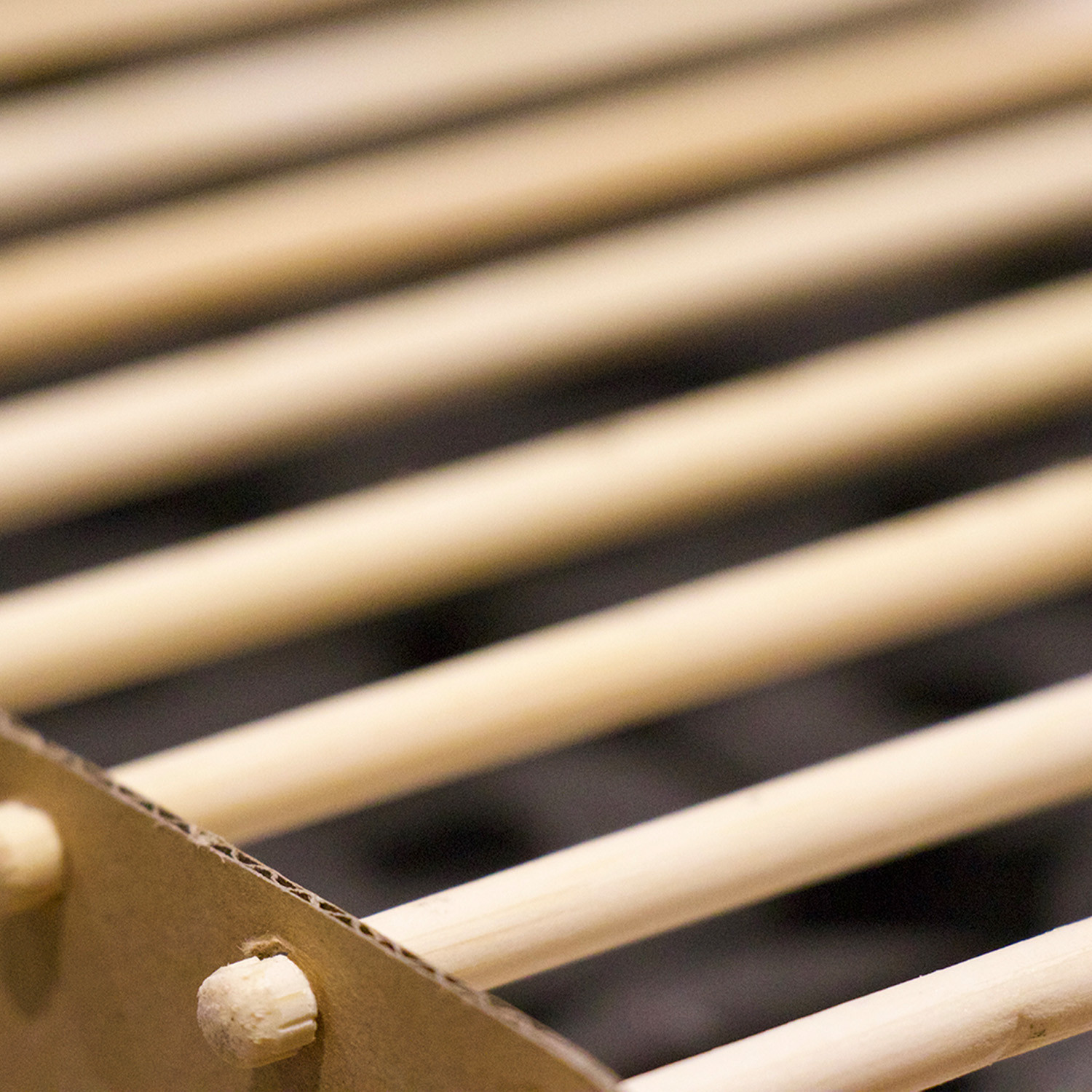 Casus grill - Asador biodegradable