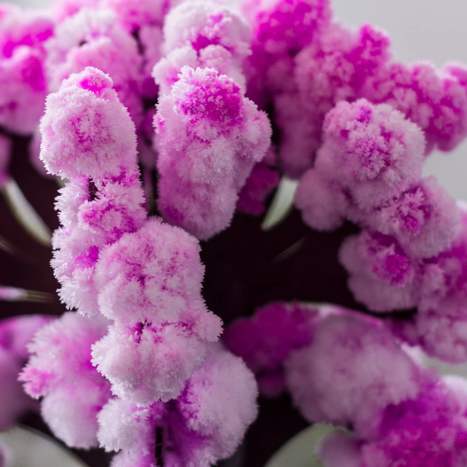 ARBOL MAGICO SAKURA - Imagen 2