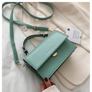 Bolso Merida