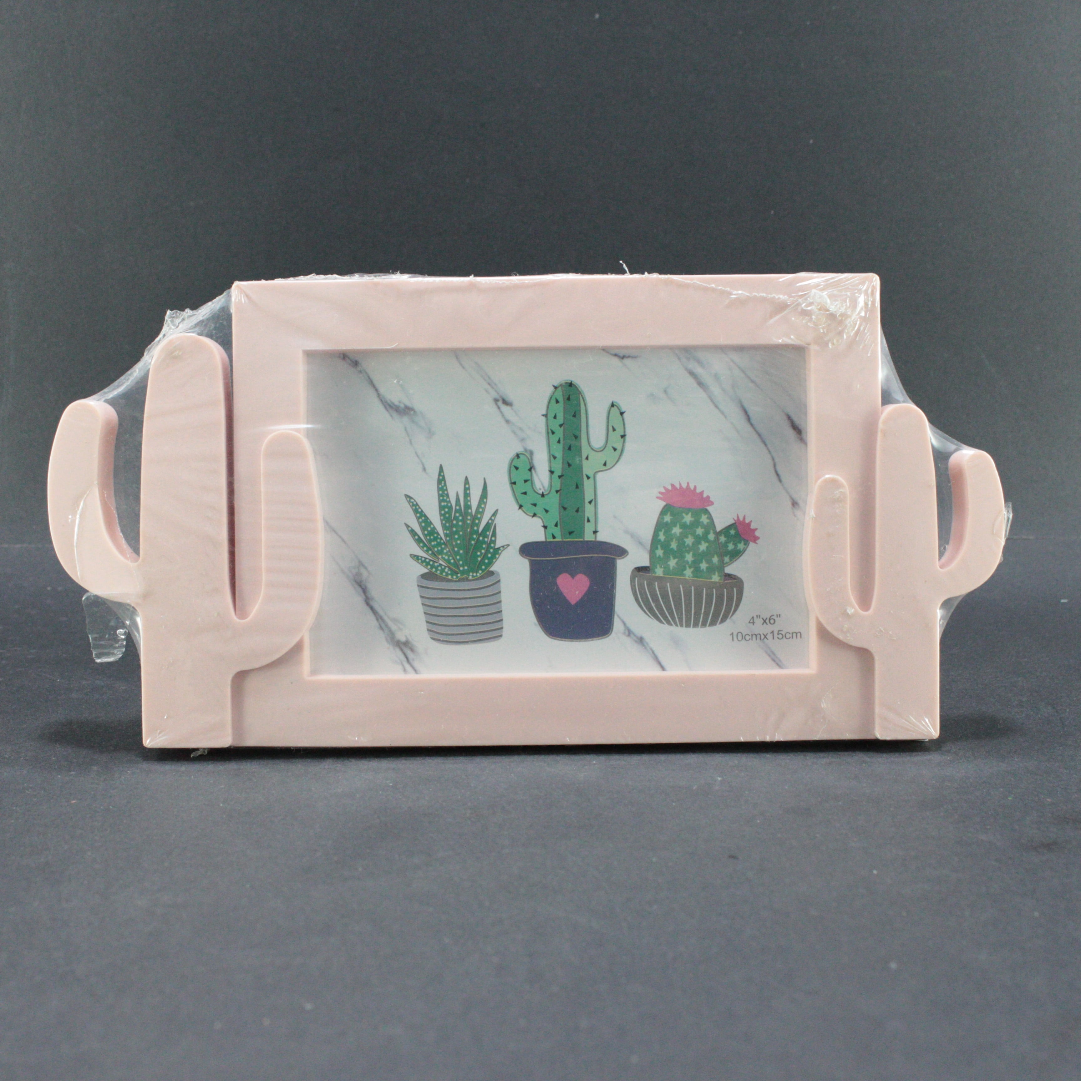 PORTARRETRATO MARCO PLASTICO CACTUS 15*