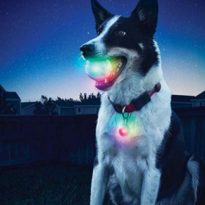 Pelota LED para Mascotas