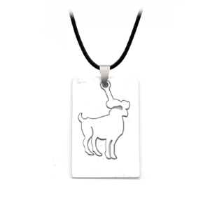 Collar Signo Zodiacal Placa Acero + Estu
