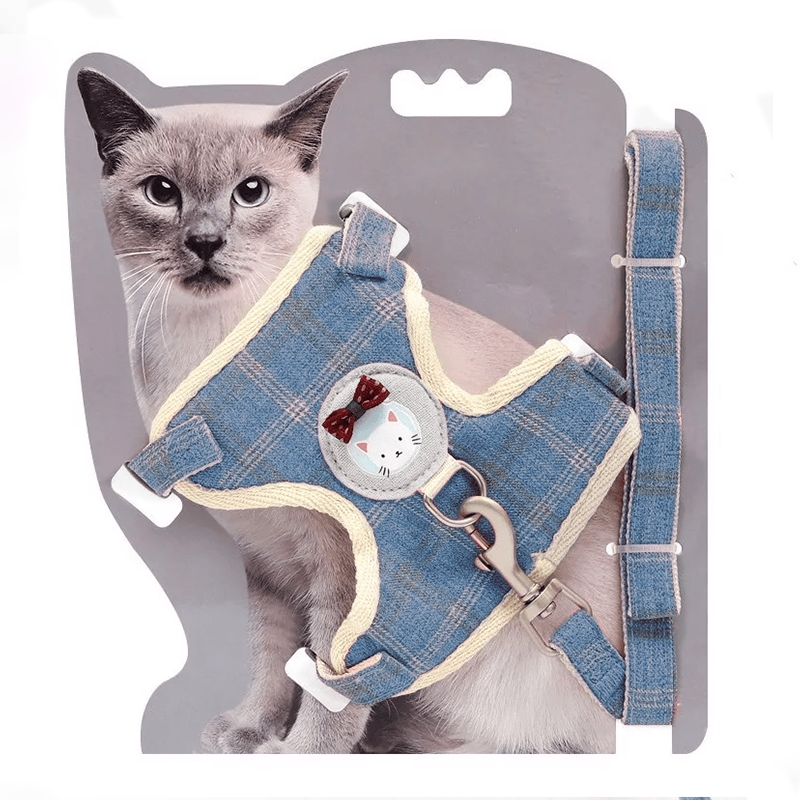 ARNES PARA GATO